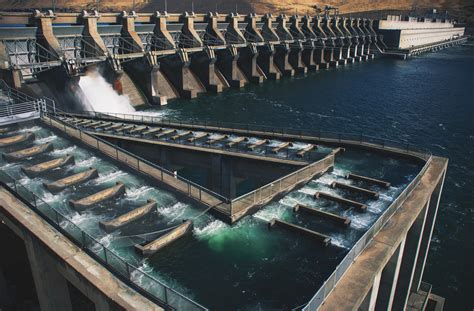 fish ladder|What is a Fish Ladder: Understanding Fi.